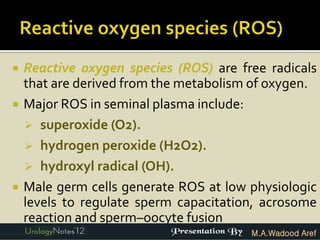    Reactive oxygen species (ROS) are free radicals
    that are derived from the metabolism of oxygen.
   Major ROS in seminal plasma include:
     superoxide (O2).
     hydrogen peroxide (H2O2).
     hydroxyl radical (OH).
   Male germ cells generate ROS at low physiologic
    levels to regulate sperm capacitation, acrosome
    reaction and sperm–oocyte fusion
                                        M.A.Wadood Aref
 