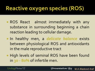    ROS React almost immediately with any
    substance in surrounding beginning a chain
    reaction leading to cellular damage.
   In healthy men, a delicate balance exists
    between physiological ROS and antioxidants
    in the male reproductive tract
   High levels of seminal ROS have been found
    in 30 - 80% of infertile men.
                                      M.A.Wadood Aref
 