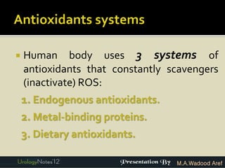    Human body uses 3 systems of
    antioxidants that constantly scavengers
    (inactivate) ROS:
    1. Endogenous antioxidants.
    2. Metal-binding proteins.
    3. Dietary antioxidants.

                                  M.A.Wadood Aref
 