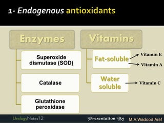 Enzymes            Vitamins
                                       Vitamin E
    Superoxide      Fat-soluble
 dismutase (SOD)                       Vitamin A


                      Water           Vitamin C
    Catalase
                     soluble

  Glutathione
  peroxidase

                                  M.A.Wadood Aref
 