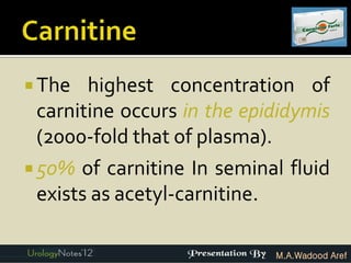  The   highest concentration of
  carnitine occurs in the epididymis
  (2000-fold that of plasma).
 50% of carnitine In seminal fluid
  exists as acetyl-carnitine.

                             M.A.Wadood Aref
 