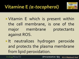  Vitamin  E which is present within
  the cell membrane, is one of the
  major     membrane     protectants
  against ROS.
 It neutralizes hydrogen peroxide
  and protects the plasma membrane
  from lipid peroxidation.
                             M.A.Wadood Aref
 