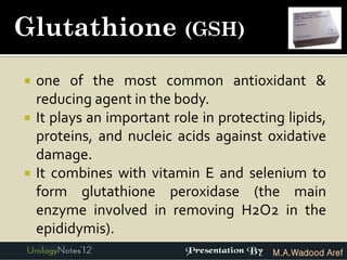 Glutathione (GSH)
   one of the most common antioxidant &
    reducing agent in the body.
   It plays an important role in protecting lipids,
    proteins, and nucleic acids against oxidative
    damage.
   It combines with vitamin E and selenium to
    form glutathione peroxidase (the main
    enzyme involved in removing H2O2 in the
    epididymis).
                                           M.A.Wadood Aref
 