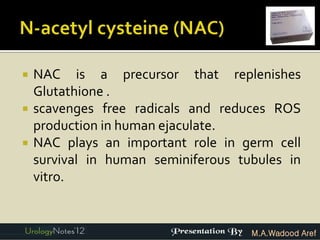    NAC is a precursor that replenishes
    Glutathione .
   scavenges free radicals and reduces ROS
    production in human ejaculate.
   NAC plays an important role in germ cell
    survival in human seminiferous tubules in
    vitro.


                                     M.A.Wadood Aref
 