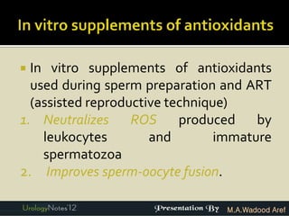  In vitro supplements of antioxidants
  used during sperm preparation and ART
  (assisted reproductive technique)
1. Neutralizes ROS produced by
    leukocytes        and        immature
    spermatozoa
2. Improves sperm-oocyte fusion.

                                 M.A.Wadood Aref
 