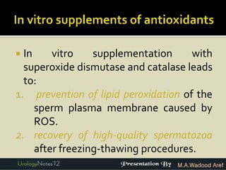  In     vitro    supplementation     with
  superoxide dismutase and catalase leads
  to:
1. prevention of lipid peroxidation of the
     sperm plasma membrane caused by
     ROS.
2. recovery of high-quality spermatozoa
     after freezing-thawing procedures.
                                  M.A.Wadood Aref
 