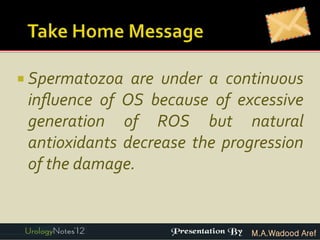  Spermatozoa  are under a continuous
 inﬂuence of OS because of excessive
 generation of ROS but natural
 antioxidants decrease the progression
 of the damage.


                               M.A.Wadood Aref
 