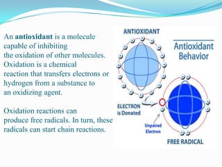 An antioxidant is a molecule capable of inhibiting the oxidation of other molecules. Oxidation is a chemical reaction that transfers electrons or hydrogen from a substance to an oxidizing agent.Oxidation reactions can produce free radicals. In turn, these radicals can start chain reactions.