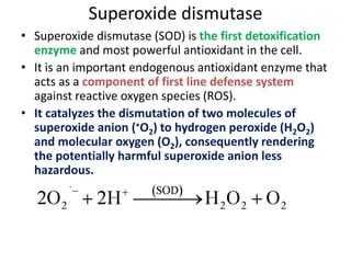 Antioxidants- for Bpharm students | PPTX