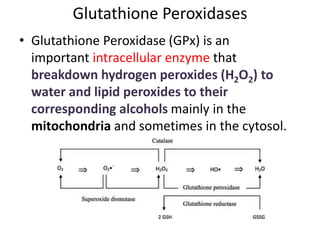 Antioxidants- for Bpharm students | PPTX