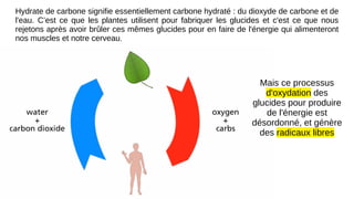 Hydrate de carbone signifie essentiellement carbone hydraté : du dioxyde de carbone et de
l'eau. C’est ce que les plantes utilisent pour fabriquer les glucides et c'est ce que nous
rejetons après avoir brûler ces mêmes glucides pour en faire de l'énergie qui alimenteront
nos muscles et notre cerveau.
Mais ce processus
d'oxydation des
glucides pour produire
de l'énergie est
désordonné, et génère
des radicaux libres
 
