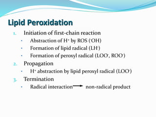 Lipid Peroxidation
1. Initiation of first-chain reaction
• Abstraction of H+ by ROS (•
OH)
• Formation of lipid radical (LH•
)
• Formation of peroxyl radical (LOO•
, ROO•
)
2. Propagation
• H+ abstraction by lipid peroxyl radical (LOO•
)
3. Termination
• Radical interaction non-radical product
 