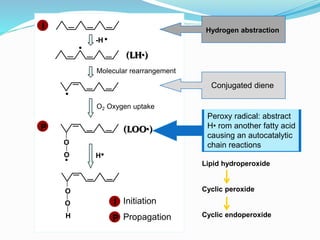 •
Molecular rearrangement
Conjugated diene
Lipid hydroperoxide
Cyclic peroxide
Cyclic endoperoxide
•
•-H
Hydrogen abstraction
I
•
O
O
O
O
H
•H
O2 Oxygen uptake
Peroxy radical: abstract
H• rom another fatty acid
causing an autocatalytic
chain reactions
P
I
P
Initiation
Propagation
(LH•)
(LOO•)
 