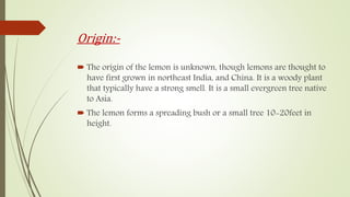 Origin:-
 The origin of the lemon is unknown, though lemons are thought to
have first grown in northeast India, and China. It is a woody plant
that typically have a strong smell. It is a small evergreen tree native
to Asia.
 The lemon forms a spreading bush or a small tree 10-20feet in
height.
 