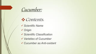 Cucumber:
Contents:
 Scientific Name
 Origin
 Scientific Classification
 Varieties of Cucumber
 Cucumber as Anti-oxidant
 