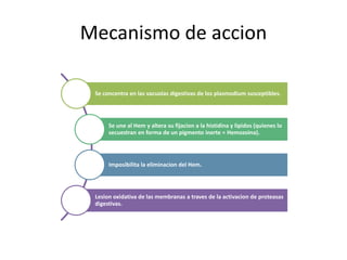 Mecanismo de accion
Se concentra en las vacuolas digestivas de los plasmodium susceptibles.
Se une al Hem y altera su fijacion a la histidina y lipidos (quienes lo
secuestran en forma de un pigmento inerte = Hemozoina).
Imposibilita la eliminacion del Hem.
Lesion oxidativa de las membranas a traves de la activacion de proteasas
digestivas.
 