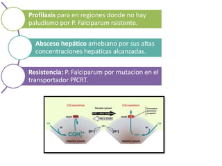 Profilaxis para en regiones donde no hay
paludismo por P. Falcíparum rsistente.
Absceso hepático amebiano por sus altas
concentraciones hepaticas alcanzadas.
Resistencia: P. Falciparum por mutacion en el
transportador PfCRT.
 