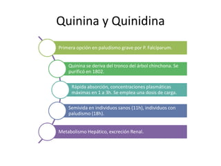 Quinina y Quinidina
Primera opción en paludismo grave por P. Falcíparum.
Quinina se deriva del tronco del árbol chinchona. Se
purificó en 1802.
Rápida absorción, concentraciones plasmáticas
máximas en 1 a 3h. Se emplea una dosis de carga.
Semivida en individuos sanos (11h), individuos con
paludismo (18h).
Metabolismo Hepático, excreción Renal.
 