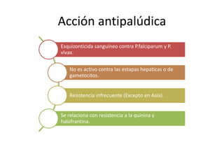 Acción antipalúdica
Esquizonticida sanguíneo contra P.falciparum y P.
vivax.
No es activo contra las estapas hepaticas o de
gametocitos.
Resistencia infrecuente (Excepto en Asia).
Se relaciona con resistencia a la quinina y
halofrantina.
 