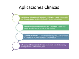 Aplicaciones Clínicas
Tratamiento del paludismo agudo por P. vivax y P. Ovale: combinado
con cloroquina para tambien eliminar las formas eritrociticas.
Profilaxis terminal de paludismo por P. Vivax y P. Ovale: Para
evitar recaidas por las formas de Hipnozoitos.
Accion Gametocida: Se usa una sola dosis (45mg ) para volver los
P. Falciparum no infectantes para los mosquitos.
Infeccion por Pneumocystis Jiroveci: combinada con clindamicina y
primaquina en la enffermedad grave.
 