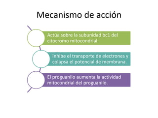 Mecanismo de acción
Actúa sobre la subunidad bc1 del
citocromo mitocondrial.
Inhibe el transporte de electrones y
colapsa el potencial de membrana.
El proguanilo aumenta la actividad
mitocondrial del proguanilo.
 
