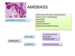 AMEBIASIS
ENTAMOEBA HISTOLYTICA
INFECCION INTESTINAL ASINTOMATICA
COLITIS LEVE O MODERADA
DISENTERIA
AMEBOMA
ABSESO HEPATICO
INFECCION EXTRAINTESTINAL
AMEBICIDAS
TISULARES
LUMINALES
NITROIMIDAZOLES
EMETINAS
CLOROQUINAS
HIDROQUINOLEINAS
 