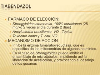TIABENDAZOL

    FÁRMACO DE ELECCIÓN:
      Strongyloides stercoralis, 100% curaciones (25
       mg/kg 2 veces al día durante 2 días)
      Ancylostoma braziliense. VO . Topica
      Toxocara canis y T. cati. VO
    MECANISMO DE ACCION
      Inhibe la enzima fumarato-reductasa, que es
       específica de las mitocondrias de algunos helmintos.
      En el caso de Strongyloides puede inhibir el
       ensamblaje de microtúbulos, impidiendo así la
       liberación de acetilcolina, y provocando el desalojo
       de los gusanos
 