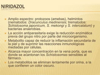NIRIDAZOL

    Amplio espectro: protozoos (amebas), helmintos
     (nematodos: Dracunculus medinensis; trematodos:
     Schistosoma japonicum, S. mekongi y S. intercalatum) y
     bacterias anaerobias.
    La acción antiparasitaria exige la reducción enzimática
     previa del grupo nitro por parte del microorganismo.
    Metabolito capaz de reducir la inflamación secundaria de
     la piel y de suprimir las reacciones inmunológicas
     mediadas por células.
    Alcanza mayor concentración en la vena porta, que es
     donde se acantonan los Schistosomas sensibles al
     fármaco.
    Los metabolitos se eliminan lentamente por orina, a la
     que confieren un color oscuro.
 