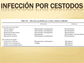 INFECCIÓN POR CESTODOS
 