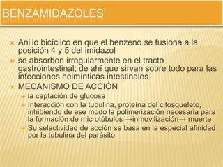 BENZAMIDAZOLES

    Anillo bicíclico en que el benzeno se fusiona a la
     posición 4 y 5 del imidazol
    se absorben irregularmente en el tracto
     gastrointestinal; de ahí que sirvan sobre todo para las
     infecciones helmínticas intestinales
    MECANISMO DE ACCIÓN
        la captación de glucosa
        Interacción con la tubulina, proteína del citosqueleto,
         inhibiendo de ese modo la polimerización necesaria para
         la formación de microtúbulos →inmovilización→ muerte
        Su selectividad de acción se basa en la especial afinidad
         por la tubulina del parásito
 