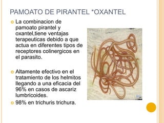 PAMOATO DE PIRANTEL *OXANTEL
 La combinacion de
pamoato pirantel y
oxantel,tiene ventajas
terapeuticas debido a que
actua en diferentes tipos de
receptores colinergicos en
el parasito.
 Altamente efectivo en el
tratamiento de los helmitos
llegando a una eficacia del
96% en casos de ascariz
lumbricoides.
 98% en trichuris trichura.
 