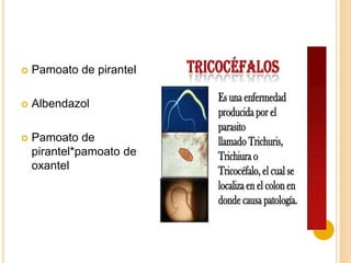  Pamoato de pirantel
 Albendazol
 Pamoato de
pirantel*pamoato de
oxantel
 