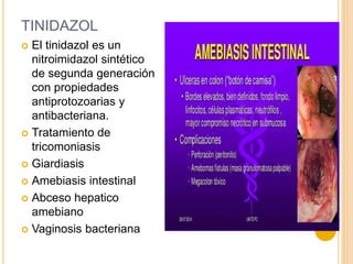 TINIDAZOL
 El tinidazol es un
nitroimidazol sintético
de segunda generación
con propiedades
antiprotozoarias y
antibacteriana.
 Tratamiento de
tricomoniasis
 Giardiasis
 Amebiasis intestinal
 Abceso hepatico
amebiano
 Vaginosis bacteriana
 
