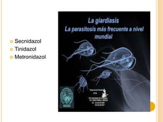  Secnidazol
 Tinidazol
 Metronidazol
 