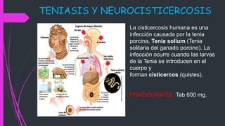 TENIASIS Y NEUROCISTICERCOSIS
La cisticercosis humana es una
infección causada por la tenia
porcina, Tenia solium (Tenia
solitaria del ganado porcino). La
infección ocurre cuando las larvas
de la Tenia se introducen en el
cuerpo y
forman cisticercos (quistes).
PRAZIQUANTEL: Tab 600 mg.
 