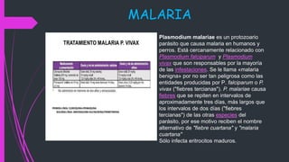MALARIA
Plasmodium malariae es un protozoario
parásito que causa malaria en humanos y
perros. Está cercanamente relacionado con
Plasmodium falciparum y Plasmodium
vivax que son responsables por la mayoría
de las infestaciones. Se le llama «malaria
benigna» por no ser tan peligrosa como las
entidades producidas por P. falciparum o P.
vivax ("fiebres tercianas"). P. malariae causa
fiebres que se repiten en intervalos de
aproximadamente tres días, más largos que
los intervalos de dos días ("fiebres
tercianas") de las otras especies del
parásito, por ese motivo reciben el nombre
alternativo de "fiebre cuartana" y "malaria
cuartana"
Sólo infecta eritrocitos maduros.
 