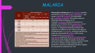 MALARIA
Plasmodium falciparum es un protozoo parásito,
una de las especies del género Plasmodium que
causa malaria en humanos. Es transmitida
por mosquitos Anopheles. Se pueden observar
diferentes fases evolutivas, en el
mosquito Anopheles (donde se reproduce el
parásito), en el interior de los hepatocitos y en el
interior de los glóbulos rojos del hospedador
humano. P. falciparum transmite la forma más
peligrosa de malaria con los índices más altos de
complicaciones y mortalidad, productor del 80% de
todas las infecciones de malaria y 90% de las
muertes por la enfermedad. Su
prevalencia predomina en el África subsahariana,
más que en otras áreas del mundo. Es el único
capaz de producir malaria cerebral. Causa la muerte
por coma y anemia. Invade cualquier tipo de
eritrocitos y produce el paludismo terciario maligno.
Es frecuente la confección por VIH.
 