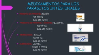 MEDICAMENTOS PARA LOS
PARASITOS INTESTINALES
 PAMOATO DE PIRANTEL: PAMOX
Tab 250 mg
Susp. 250 mg/5 ml
 PAMOATO DE PIRANTEL + OXANTEL: QUANTREL
Tab 100 mg
Susp. 250 mg/5 ml
 MEBELDAZOL: GAMAX
Tab 100 mg
Susp. 20 mg/1 ml
 ALBENDAZOL: ZENTEL
Tab 200 Y 400 mg
Susp. 40 mg/1 ml
 