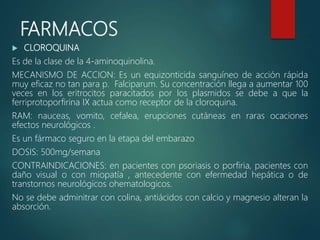 FARMACOS
 CLOROQUINA
Es de la clase de la 4-aminoquinolina.
MECANISMO DE ACCION: Es un equizonticida sanguíneo de acción rápida
muy eficaz no tan para p. Falciparum. Su concentración llega a aumentar 100
veces en los eritrocitos paracitados por los plasmidos se debe a que la
ferriprotoporfirina IX actua como receptor de la cloroquina.
RAM: nauceas, vomito, cefalea, erupciones cutáneas en raras ocaciones
efectos neurológicos .
Es un fármaco seguro en la etapa del embarazo
DOSIS: 500mg/semana
CONTRAINDICACIONES: en pacientes con psoriasis o porfiria, pacientes con
daño visual o con miopatía , antecedente con efermedad hepática o de
transtornos neurológicos ohematologicos.
No se debe adminitrar con colina, antiácidos con calcio y magnesio alteran la
absorción.
 