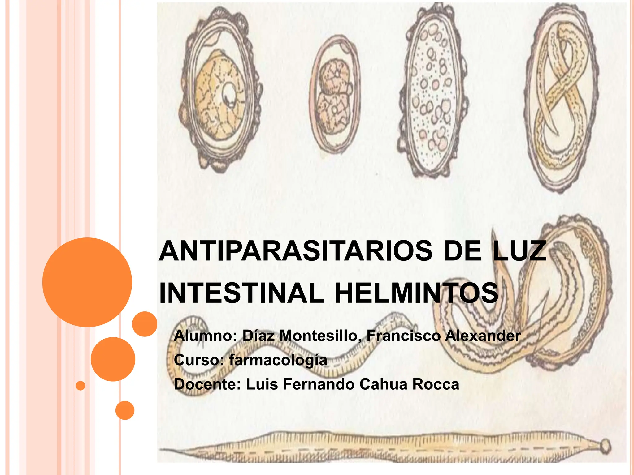 antiparasitarios de luz intestinal helmintos.pptx
