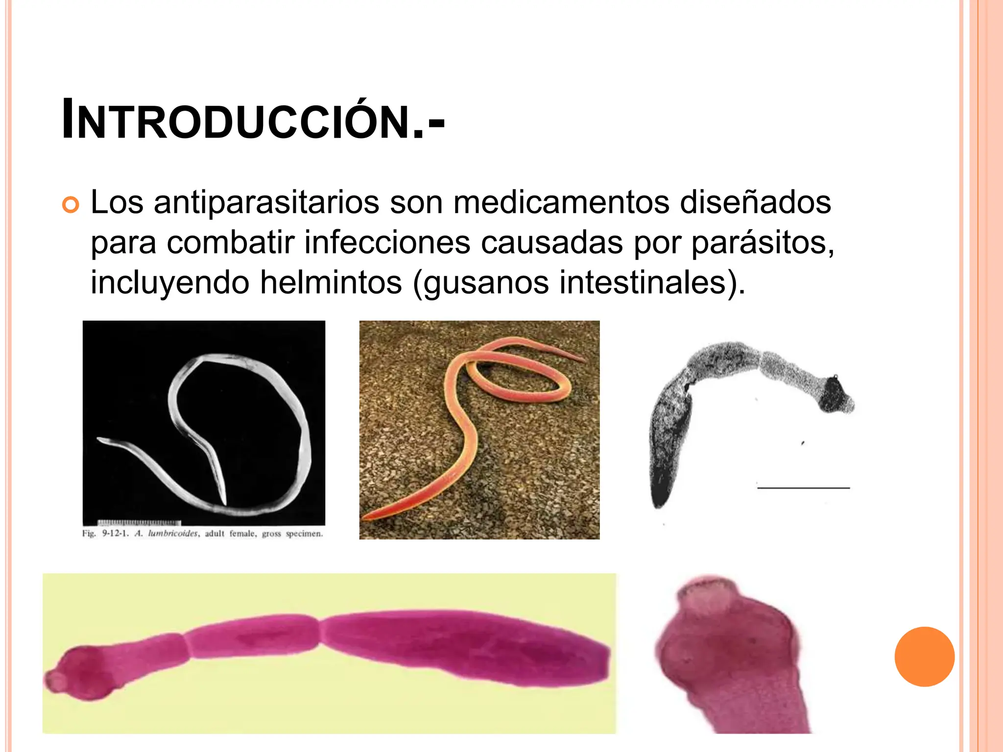 antiparasitarios de luz intestinal helmintos.pptx