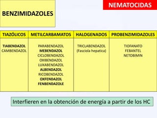 BENZIMIDAZOLES
NEMATOCIDAS
Interfieren en la obtención de energía a partir de los HC
TIAZÓLICOS METILCARBAMATOS HALOGENADOS PROBENZIMIDAZOLES
TIABENDAZOL
CAMBENDAZOL
PARABENDAZOL
MEBENDAZOL
CICLOBENDAZOL
OXIBENDAZOL
LUXABENDAZOL
ALBENDAZOL
RICOBENDAZOL
OXFENDAZOL
FENBENDAZOLE
TRICLABENDAZOL
(Fasciola hepatica)
TIOFANATO
FEBANTEL
NETOBIMIN
 