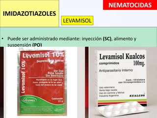 • Puede ser administrado mediante: inyección (SC), alimento y
suspensión (PO)
NEMATOCIDAS
IMIDAZOTIAZOLES
LEVAMISOL
 
