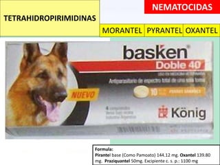 NEMATOCIDAS
TETRAHIDROPIRIMIDINAS
MORANTEL PYRANTEL OXANTEL
Formula:
Praziquantel 100 mg. Pirantel base (Como Pamoato) 100 mg.
Fenbendazol 1000 mg. Excipientes c. s. p.: 1550 mg.
Formula:
Praziquantel 20 mg. Pirantel base (Como Pamoato) 80 mg.
Fenbendazol 200 mg. Excipientes c. s. p.: 1550 mg.
Formula:
Pirantel base (Como Pamoato) 5 mg. Fenbendazol 50 mg.
Vehículo c. s. p.: 1 ml
Formula:
Praziquantel 5 mg. Pirantel base (Como Pamoato) 20 mg.
Fenbendazol 50 mg. Vehíiculo c. s. p.: 1 ml
Formula:
Praziquantel 0.5 g. Pirantel base (Como Pamoato) 0.50 g.
Fenbendazol 5 g. Vehíiculo c. s. p.: 1 ml
Formula:
Pirantel base (Como Pamoato) 14.5 mg. Oxantel 14 mg.
Excipiente c. s. p.: 1 ml
Formula:
Pirantel base (Como Pamoato) 144.12 mg. Oxantel 139.80
mg. Praziquantel 50mg. Excipiente c. s. p.: 1100 mg
 