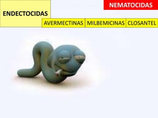 NEMATOCIDAS
ENDECTOCIDAS
AVERMECTINAS MILBEMICINAS CLOSANTEL
 