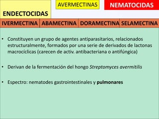 NEMATOCIDAS
• Constituyen un grupo de agentes antiparasitarios, relacionados
estructuralmente, formados por una serie de derivados de lactonas
macrocíclicas (carecen de activ. antibacteriana o antifúngica)
• Derivan de la fermentación del hongo Streptomyces avermitilis
• Espectro: nematodes gastrointestinales y pulmonares
ENDECTOCIDAS
AVERMECTINAS
IVERMECTINA ABAMECTINA DORAMECTINA SELAMECTINA
 