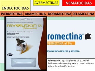 NEMATOCIDAS
ENDECTOCIDAS
AVERMECTINAS
IVERMECTINA ABAMECTINA DORAMECTINA SELAMECTINA
Ivermectina. Prazicuantel Oral
Selamectina 12 g. Excipientes c.s.p. 100 ml
Antiparasitario interno y externo para caninos y
felinos de aplicación spot on
 