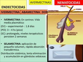 NEMATOCIDAS
• IVERMECTINA: En caninos: Vida
media plasmática:
(EV) – experimental- : 1.8 días
(PO): 3 – 4 hs (pico)
(SC): prolongada, niveles terapéuticos
persisten 2 semanas
• SELAMECTINA: aplicación de
pequeño volumen, rápida absorción
transdérmica.
Distribución sistémica, lenta eliminación
y acumulación en glándulas sebáceas
ENDECTOCIDAS
AVERMECTINAS
IVERMECTINA ABAMECTINA DORAMECTINA SELAMECTINA
 