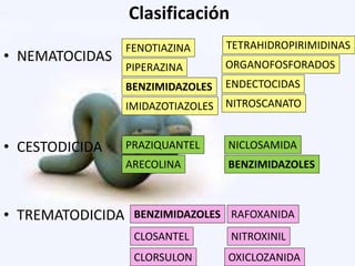 Clasificación
• NEMATOCIDAS
• CESTODICIDA
• TREMATODICIDA
FENOTIAZINA
PIPERAZINA
BENZIMIDAZOLES
IMIDAZOTIAZOLES
TETRAHIDROPIRIMIDINAS
ORGANOFOSFORADOS
ENDECTOCIDAS
NITROSCANATO
PRAZIQUANTEL
ARECOLINA
NICLOSAMIDA
BENZIMIDAZOLES
BENZIMIDAZOLES
CLOSANTEL
CLORSULON
RAFOXANIDA
NITROXINIL
OXICLOZANIDA
 
