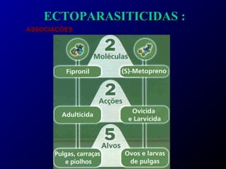 EECCTTOOPPAARRAASSIITTIICCIIDDAASS :: 
AASSSSOOCCIIAAÇÇÕÕEESS 
 